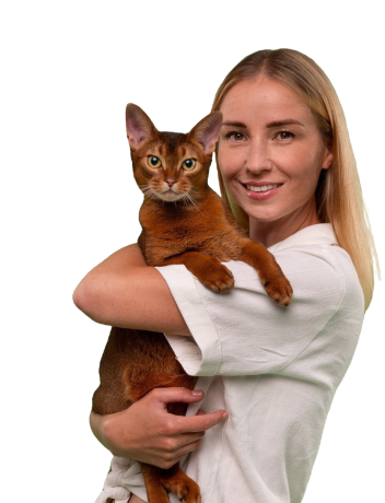 Pet groomer 3