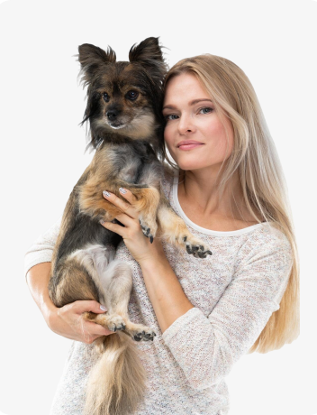 Pet groomer 7