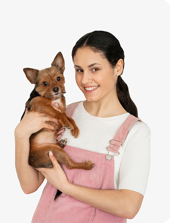 Pet groomer 8